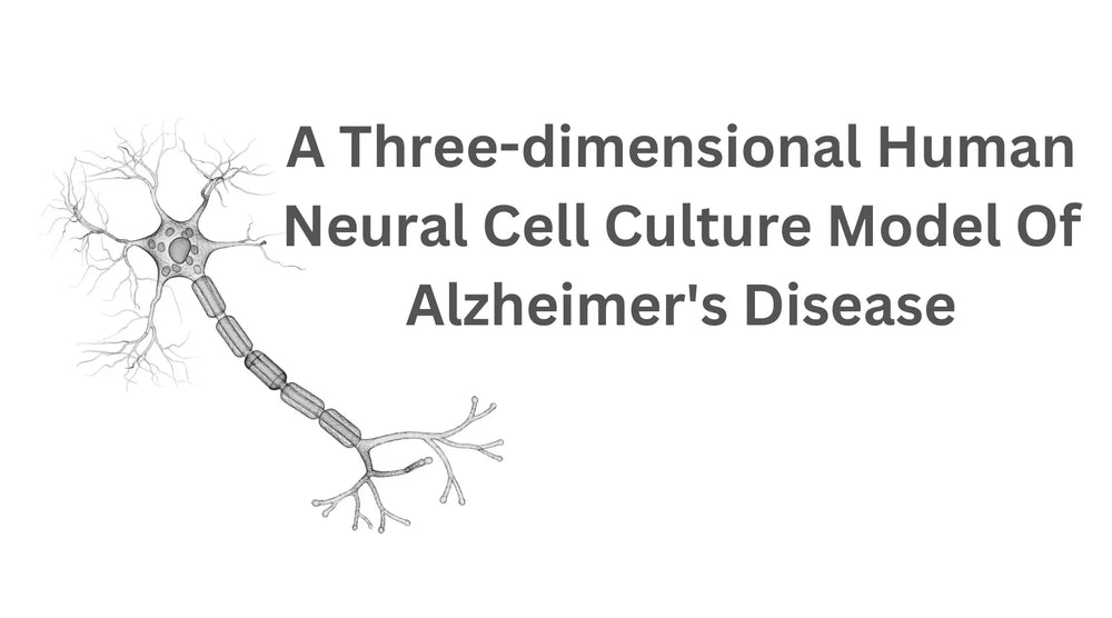 A Three-dimensional Human Neural Cell Culture Model Of Alzheimer's Disease