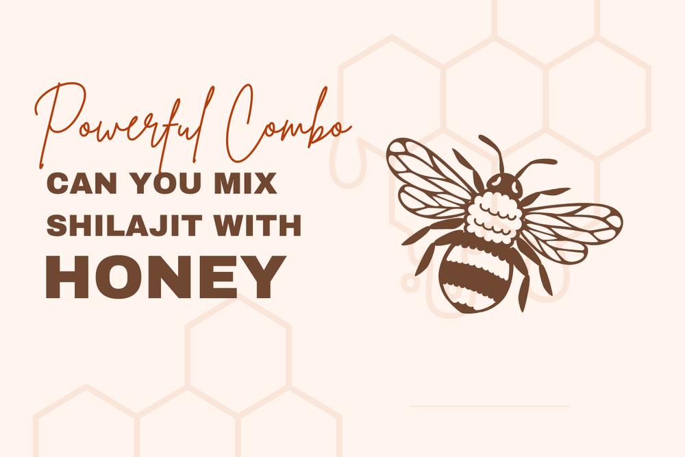 Can You Mix Shilajit with Honey? A Safe and Powerful Combo Explained