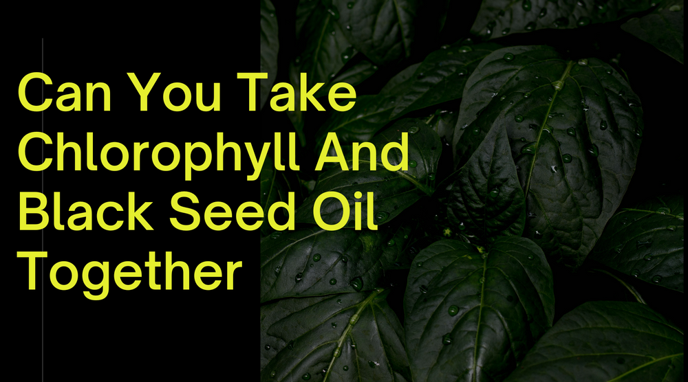 Can You Take Chlorophyll And Black Seed Oil Together
