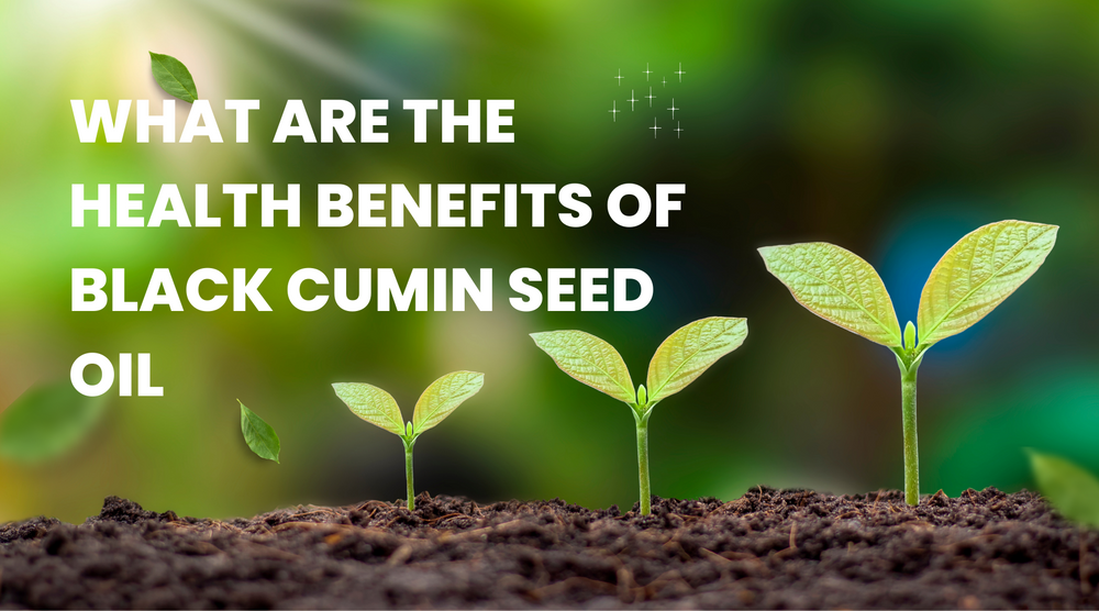 What Are The Health Benefits Of Black Cumin Seed Oil