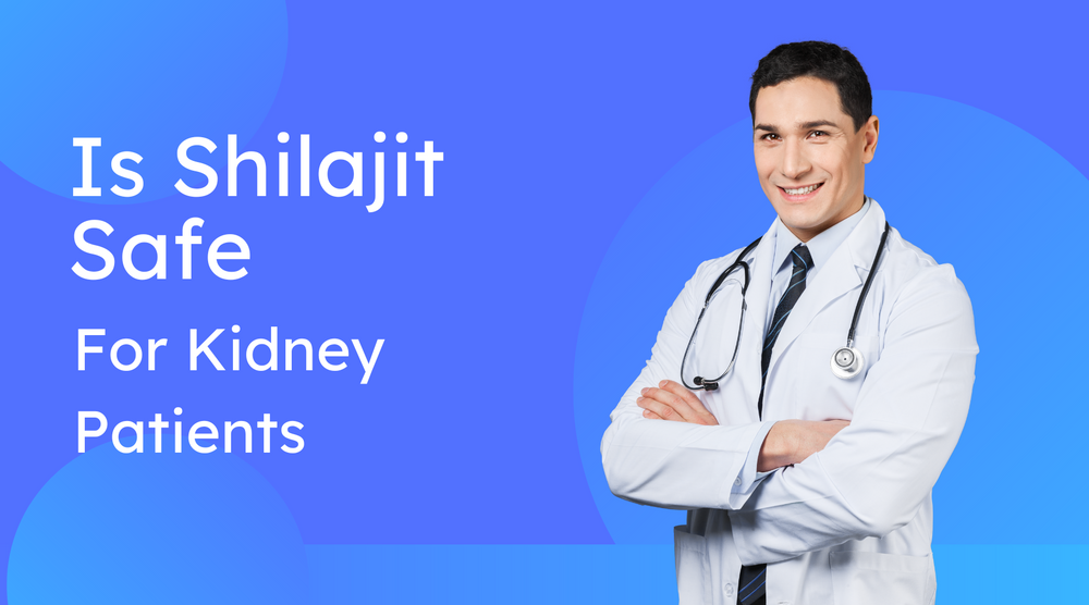 Is Shilajit Safe for Kidney Patients, Disease, CKD | Side Effects & Benefits