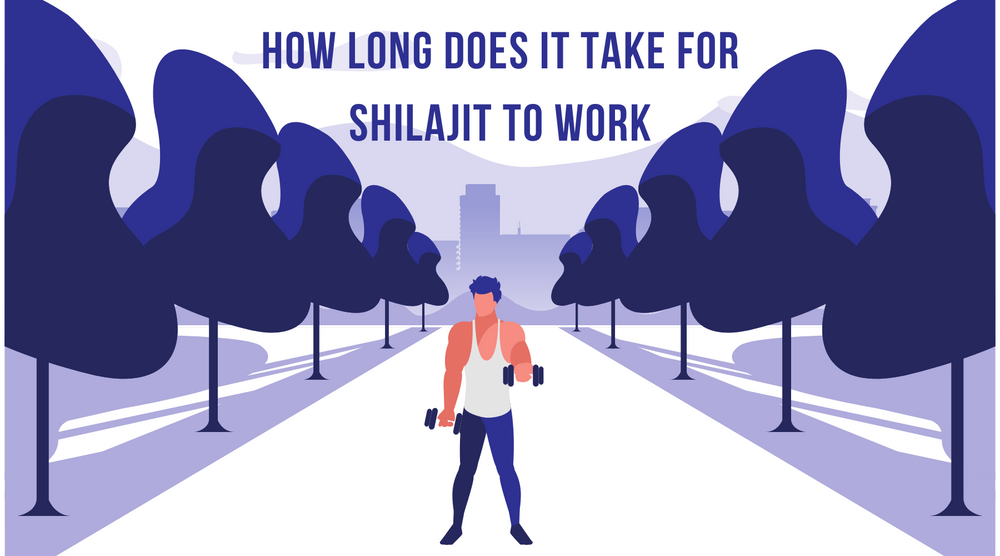How Long Does It Take For Shilajit To Work