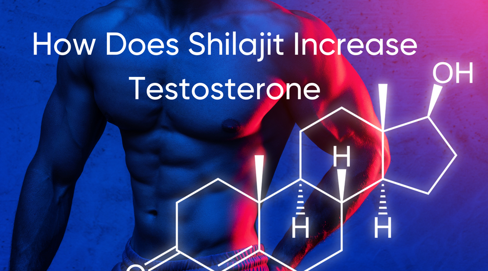 How Does Shilajit Increase Testosterone
