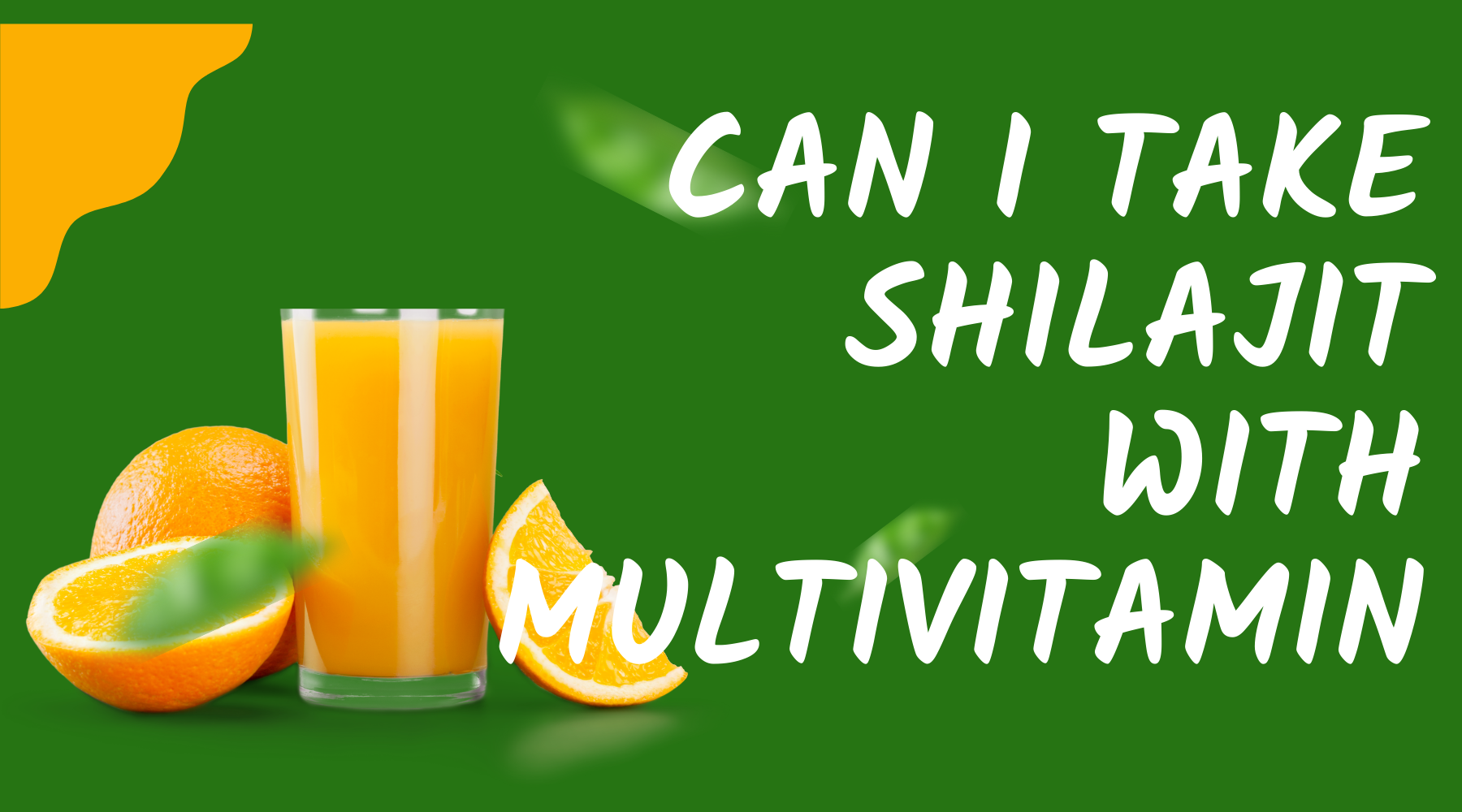 Can I Take Shilajit With Multivitamin – Nature's Blends
