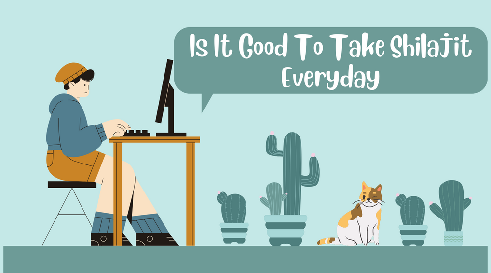 Is It Good To Take Shilajit Everyday