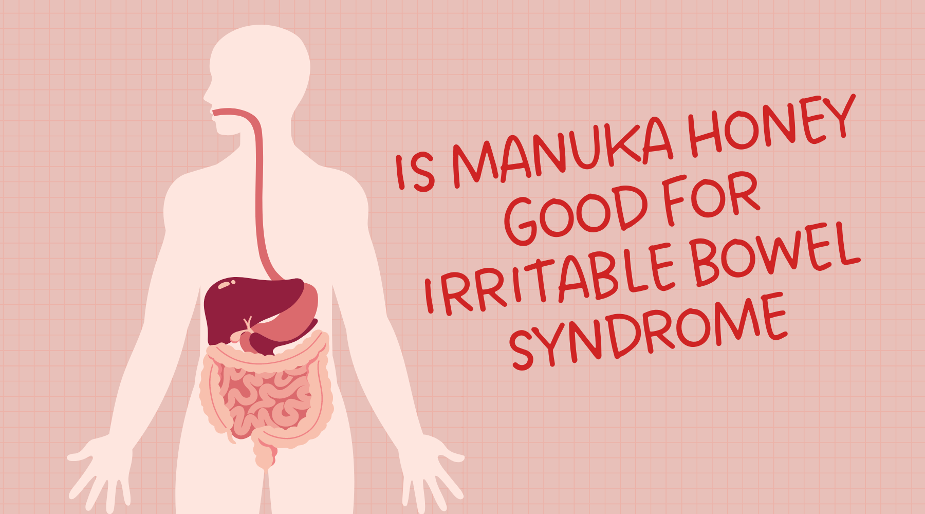 Is Manuka Honey Good For Irritable Bowel Syndrome Nature's Blends