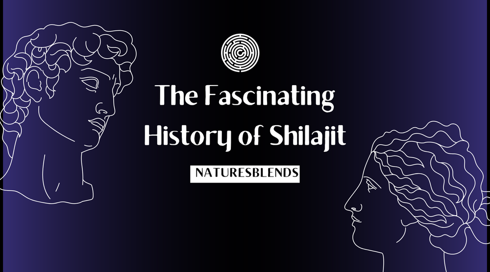 From The Mountains To Your Medicine Cabinet: The Fascinating History Of Shilajit