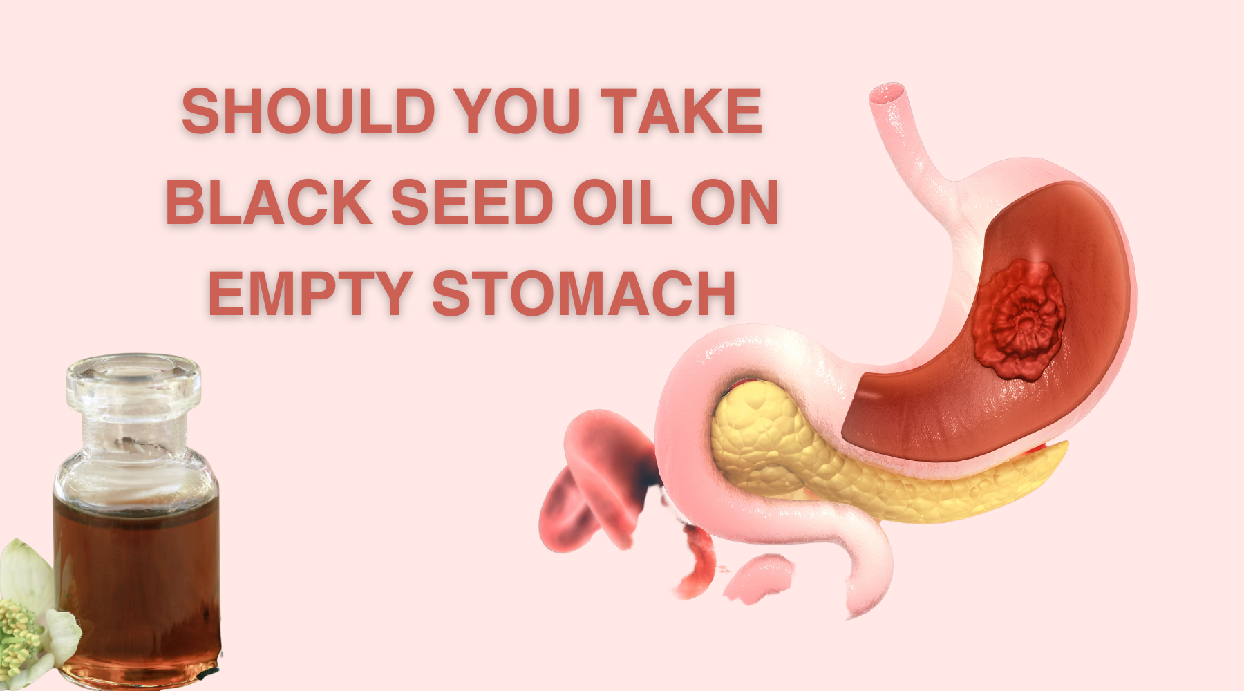 Should You Take Black Seed Oil On Empty Stomach Nature's Blends