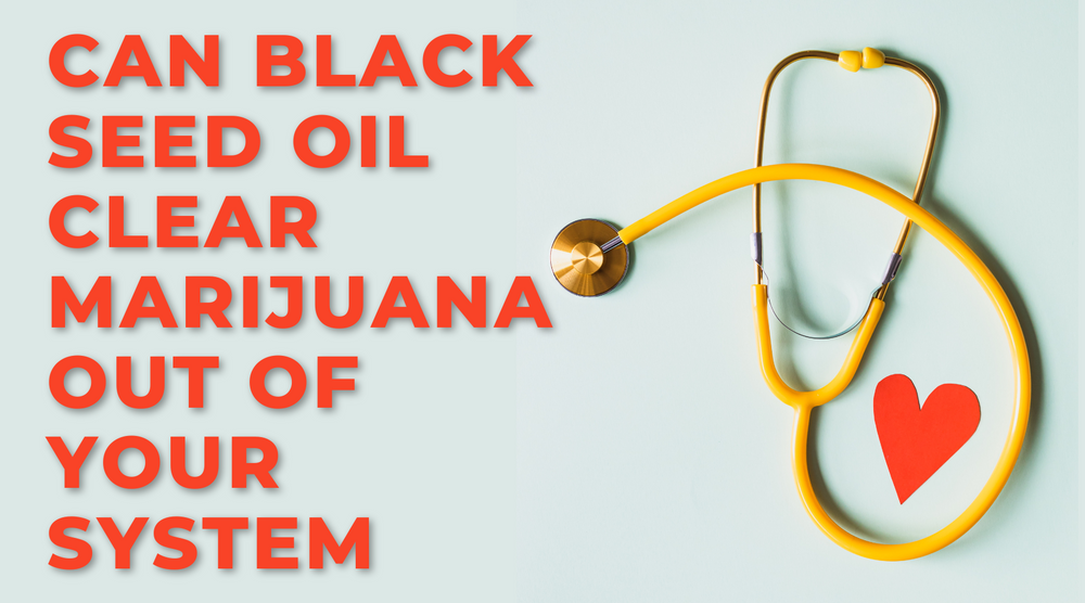 Can Black Seed Oil Clear Marijuana Out Of Your System