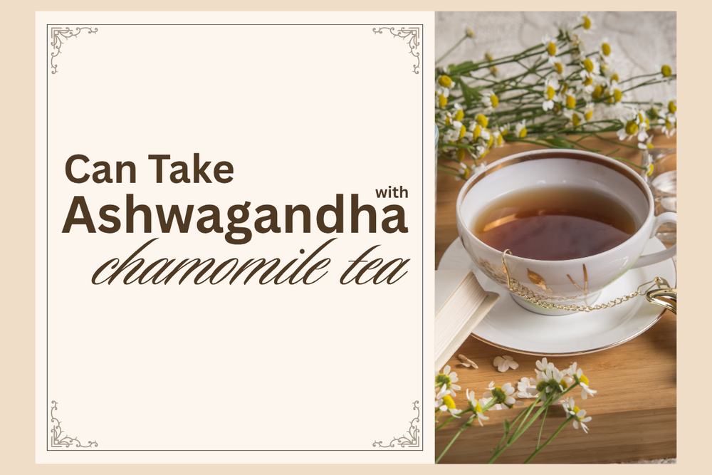 Can I Take Ashwagandha With Chamomile Tea