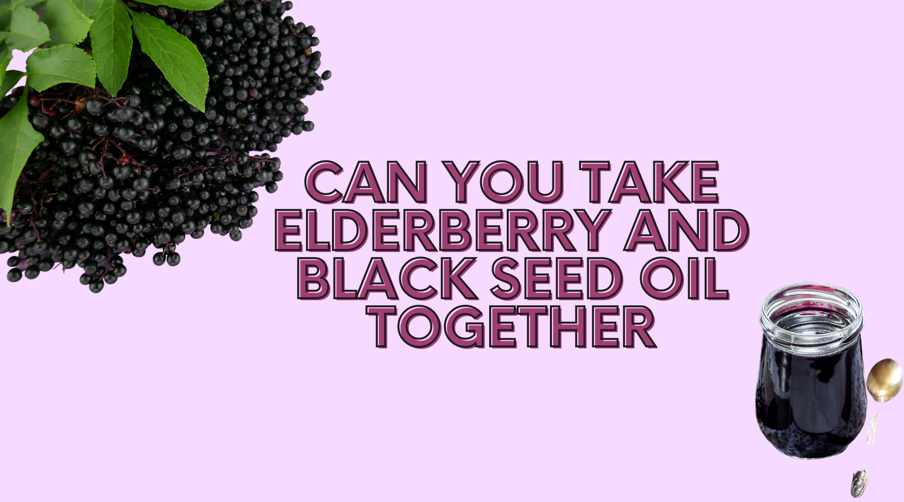 can you take elderberry and black seed oil together Nature's Blends