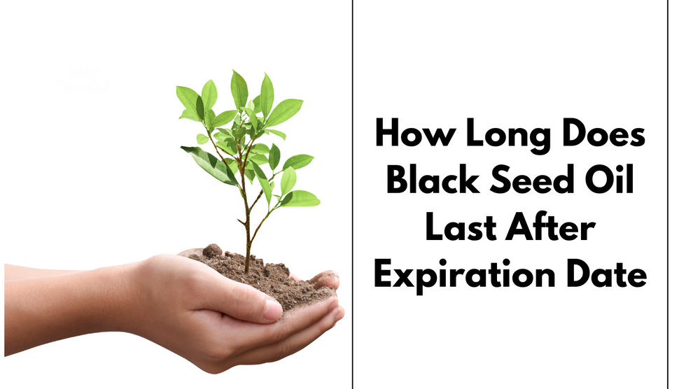 Black Seed Oil Shelf Life & Expiration Guide