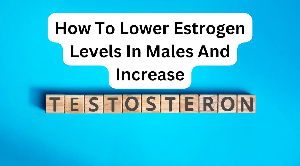How To Lower Estrogen Levels In Males And Increase Testosterone