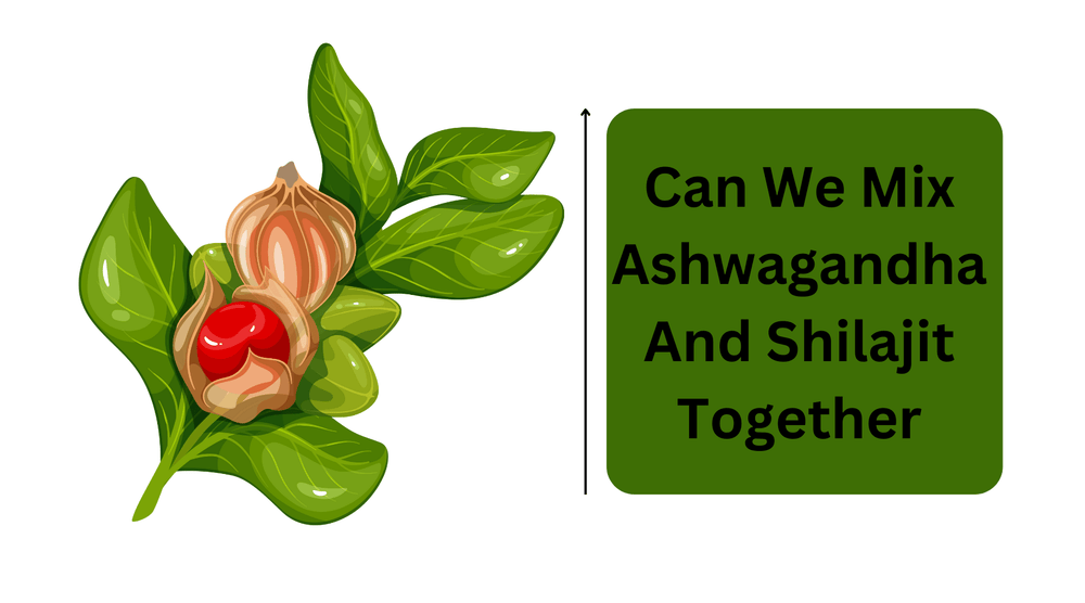 Can We Mix Ashwagandha And Shilajit Together