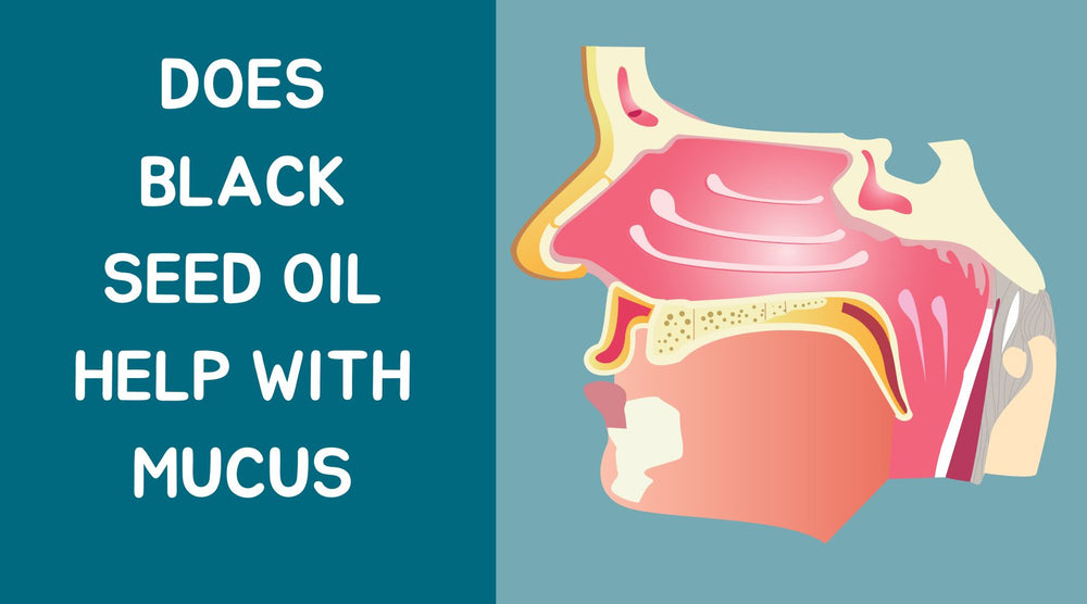 Does Black Seed Oil Help With Mucus