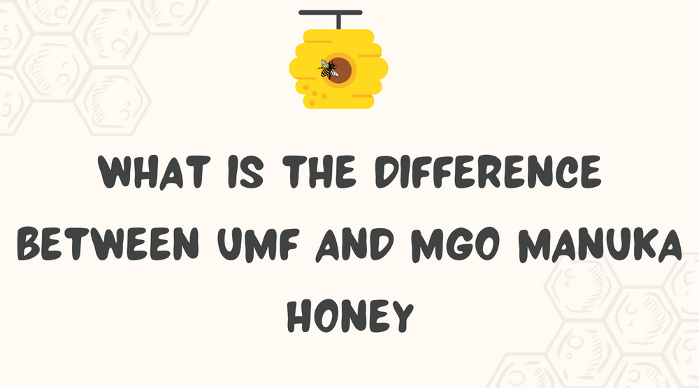 What Is The Difference Between UMF And MGO Manuka Honey
