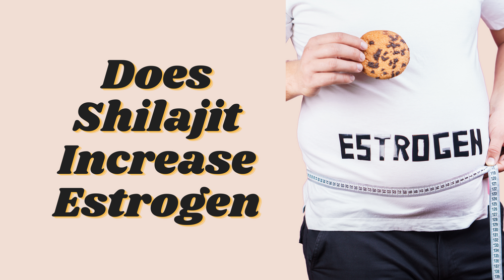 هل شيلاجيت يزيد من هرمون الاستروجين؟ 