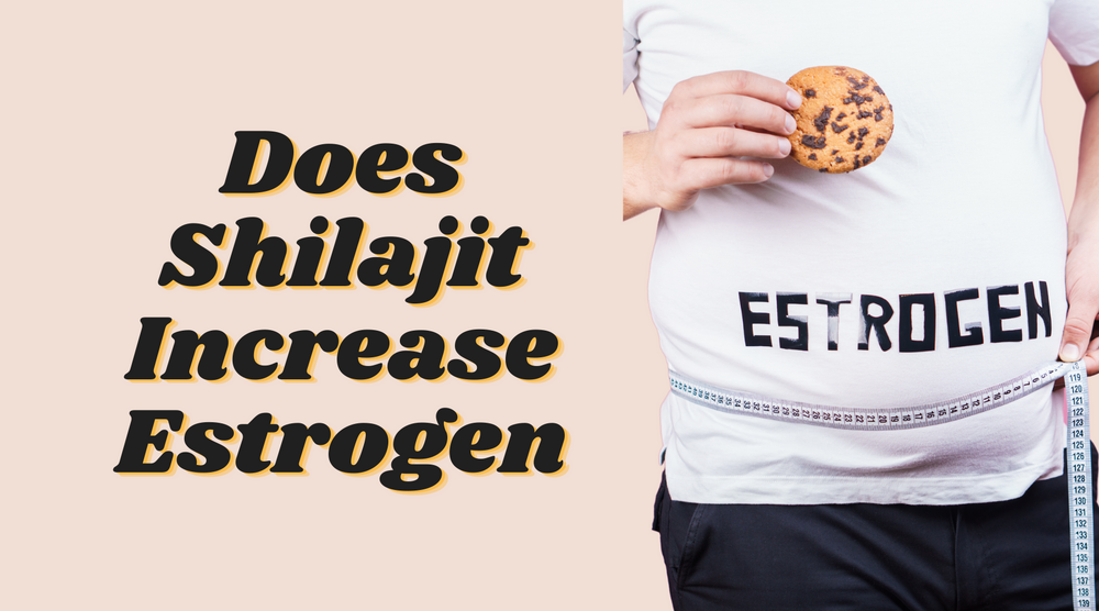 Does Shilajit Increase Estrogen? Hormone Effects Explained