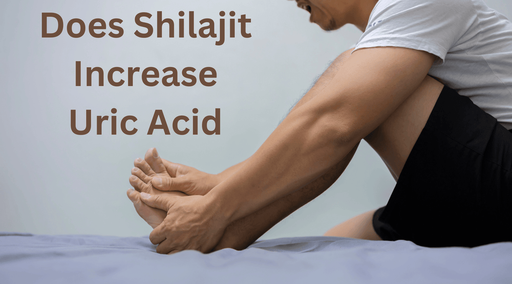Does Shilajit Increase Uric Acid