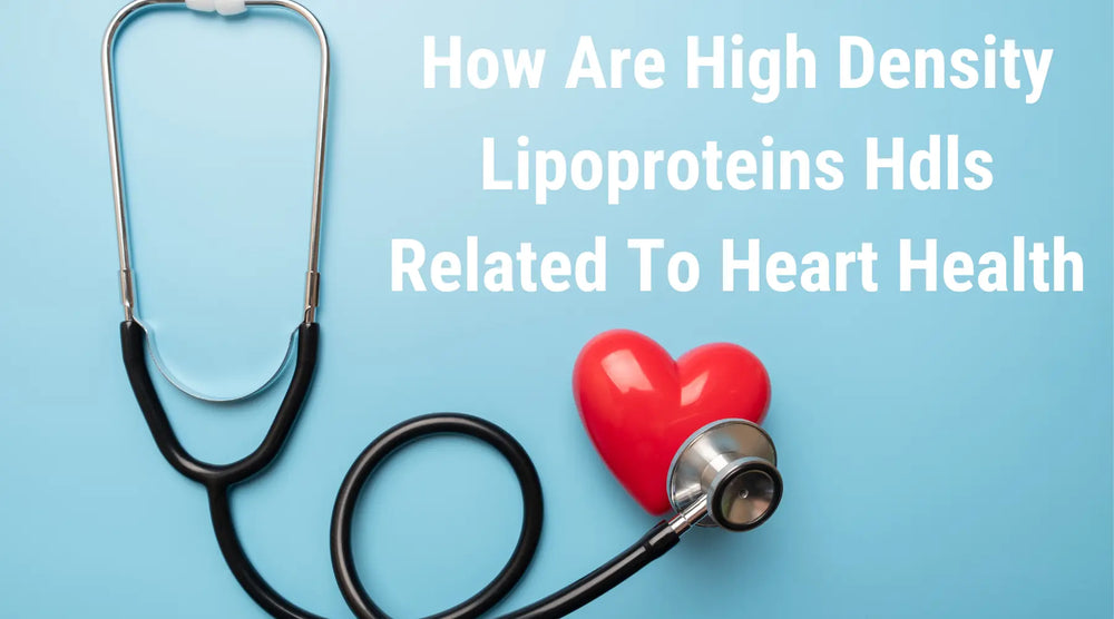 How Are High Density Lipoproteins Hdls Related To Heart Health