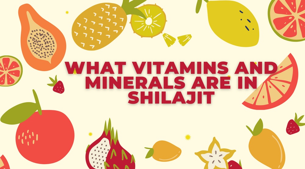 What Vitamins And Minerals Are in Shilajit