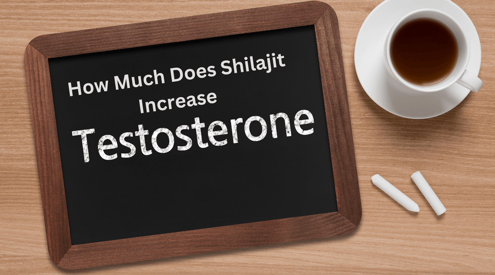 How Much Does Shilajit Increase Testosterone