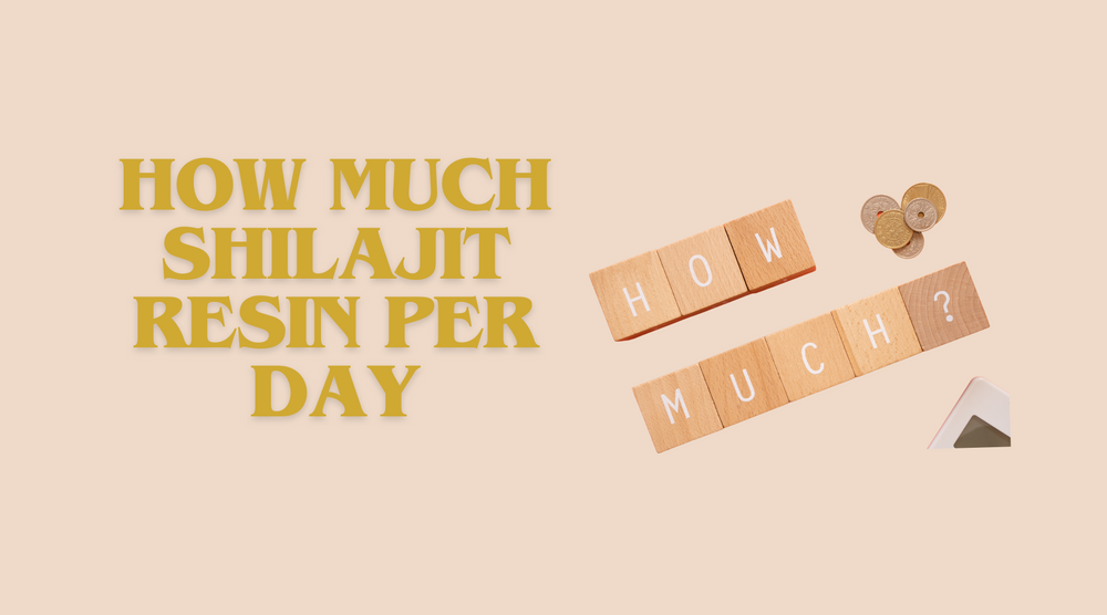 How Much Shilajit Resin Per Day