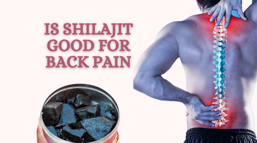 Is Shilajit Good For Back Pain