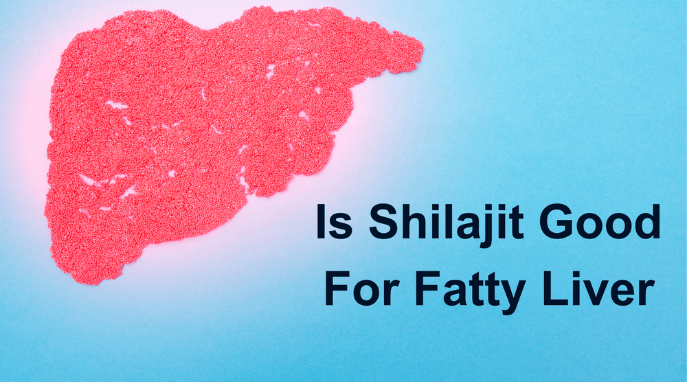 Is Shilajit Good For Fatty Liver
