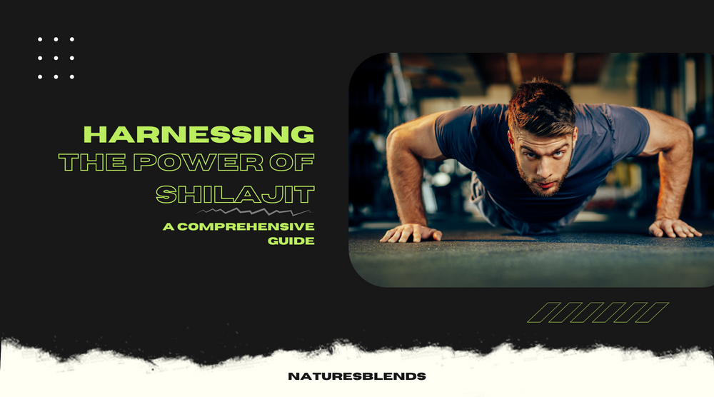 Harnessing The Power Of Shilajit: A Comprehensive Guide
