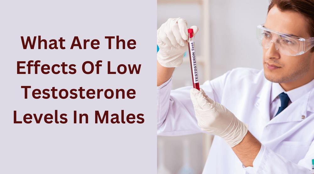 ما هي آثار انخفاض مستويات هرمون التستوستيرون لدى الذكور؟ 