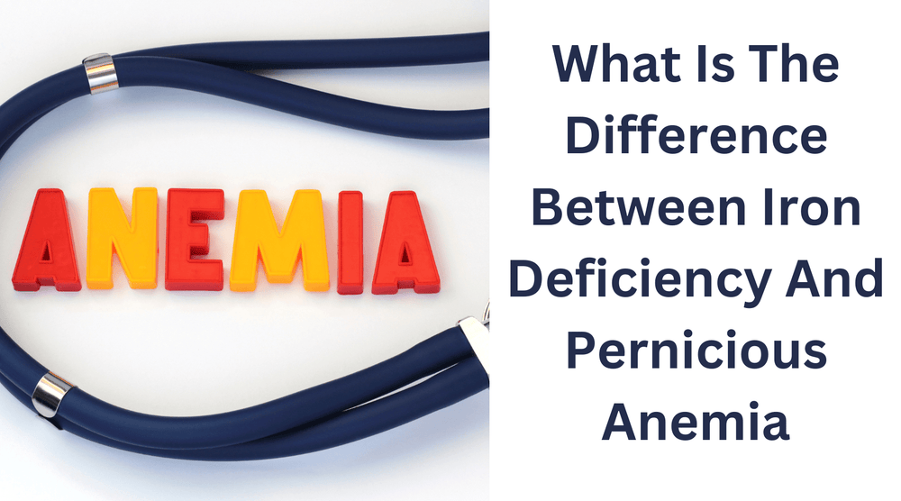 What Is The Difference Between Iron Deficiency And Pernicious Anemia