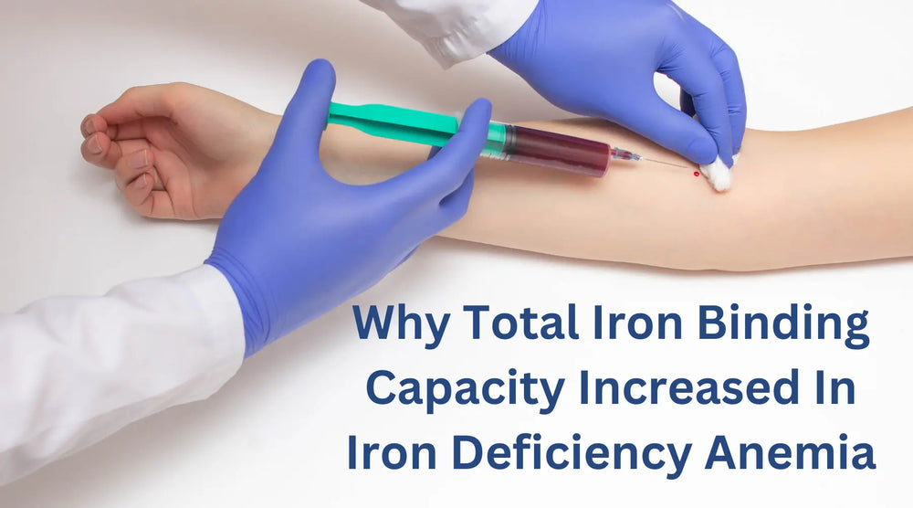 Why Total Iron Binding Capacity Increased In Iron Deficiency Anemia